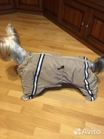 Дождевик для собак