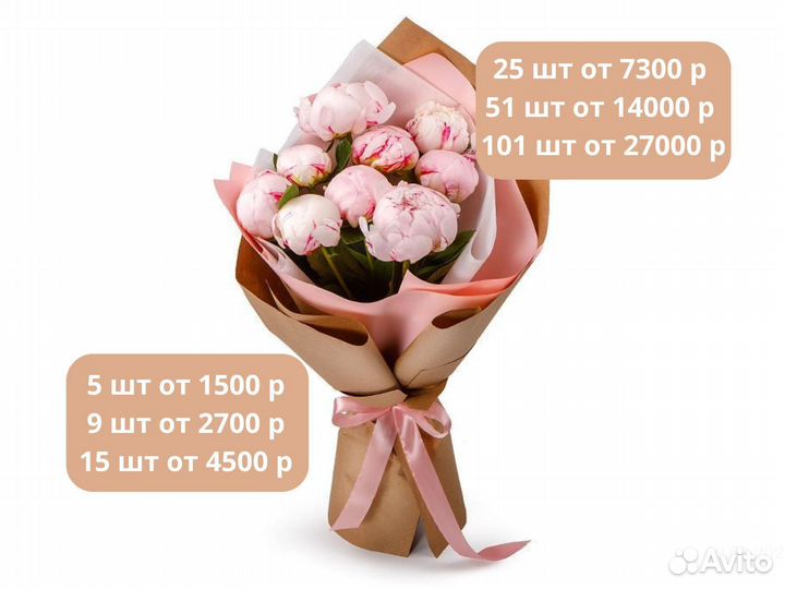 101 пион букеты