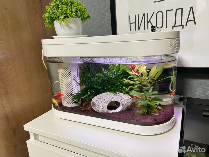Аквариум xiaomi с рыбками