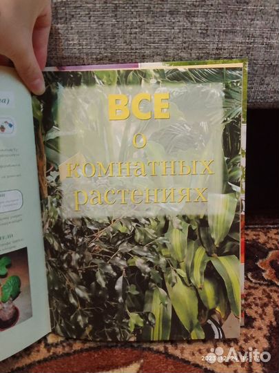 Книга «Энциклопедия Комнатных Растений» 2004