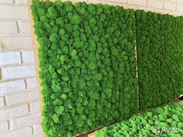 Панно из мха