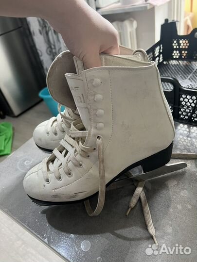 Коньки фигурные