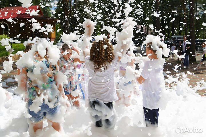 Ведущий детских мероприятий alexivanov event