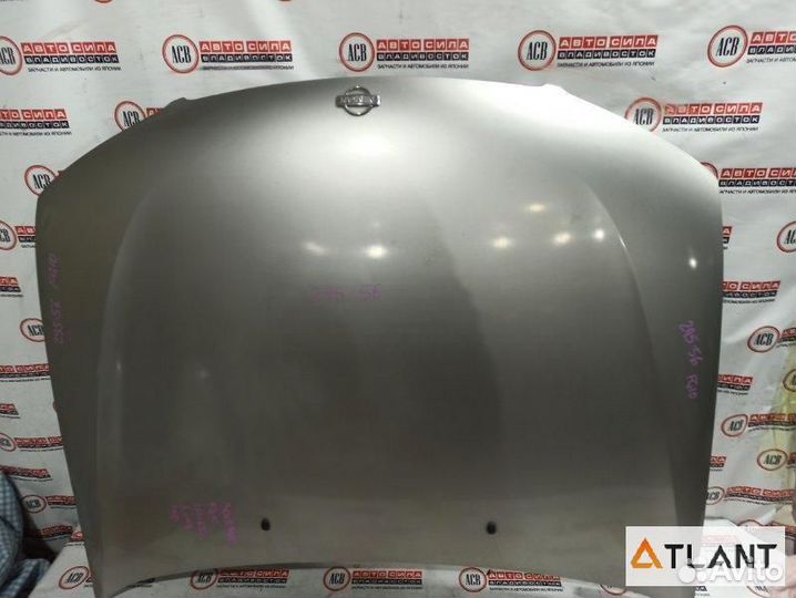 Капот nissan bluebird sylphy