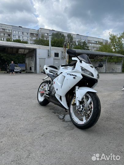 Honda cbr 600rr 2003