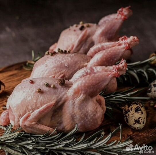 Мясо перепела