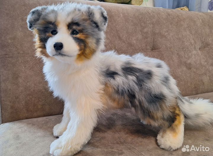 Авторская игрушка щенок Аусси