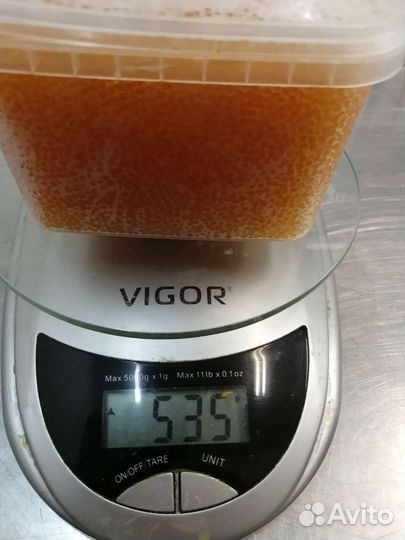 Икра щуки 2023г