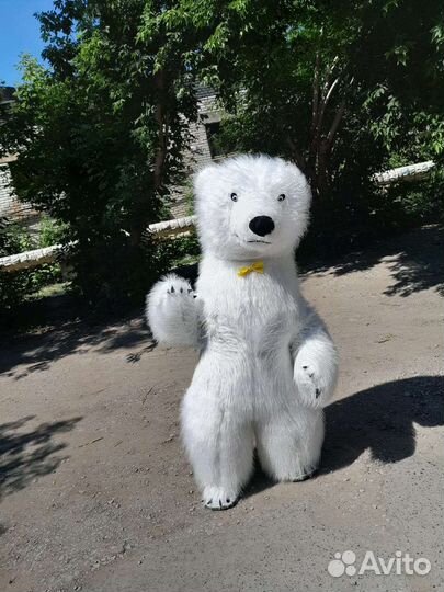 Поздравление от мишки