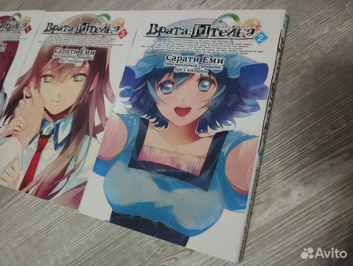 Врата Штейна все тома