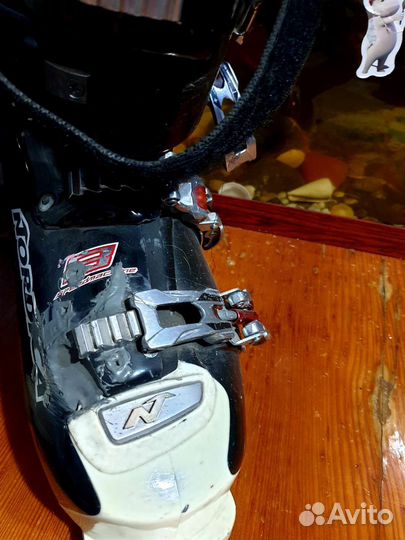 Ботинки для горных лыж