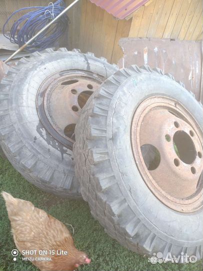 Колеса газ 52 53