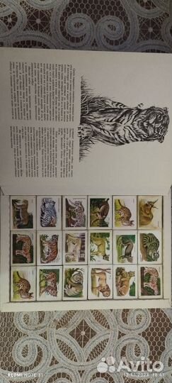 Набор спичек СССР