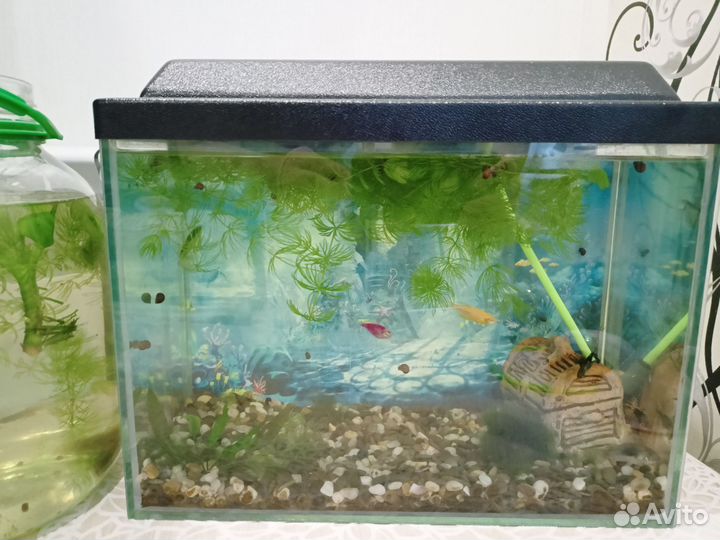 Аквариум