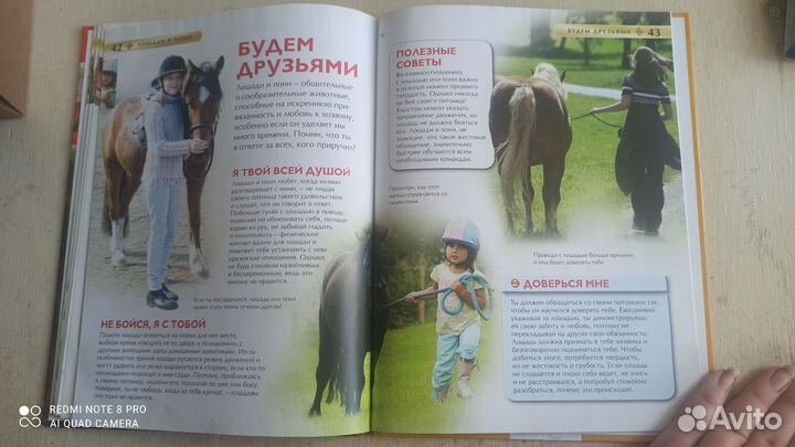 Сказочные и полезные книги о лошадях