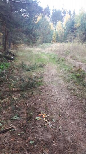 Участок 6 сот. (СНТ, ДНП)