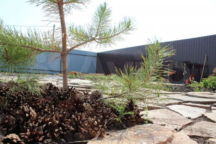 Дом 75 м² на участке 10 сот.