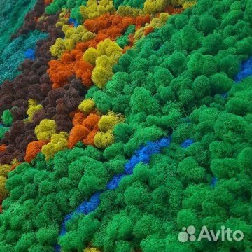 Логотипы из стабилизированного мха