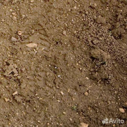 Приму грунт