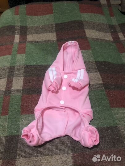 Одежда для собак