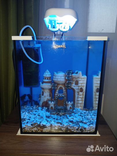 Аквариум