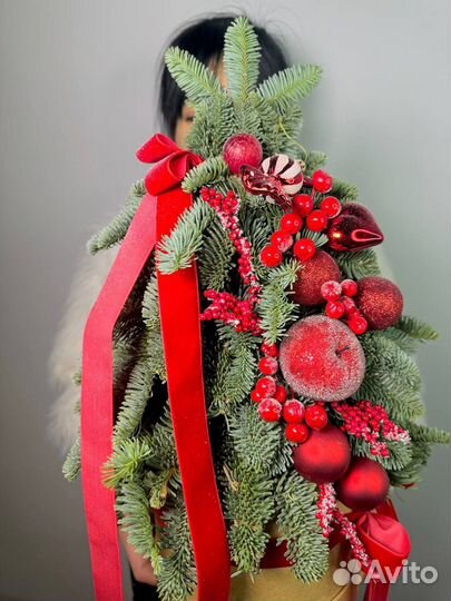 Елка живая из нобилиса