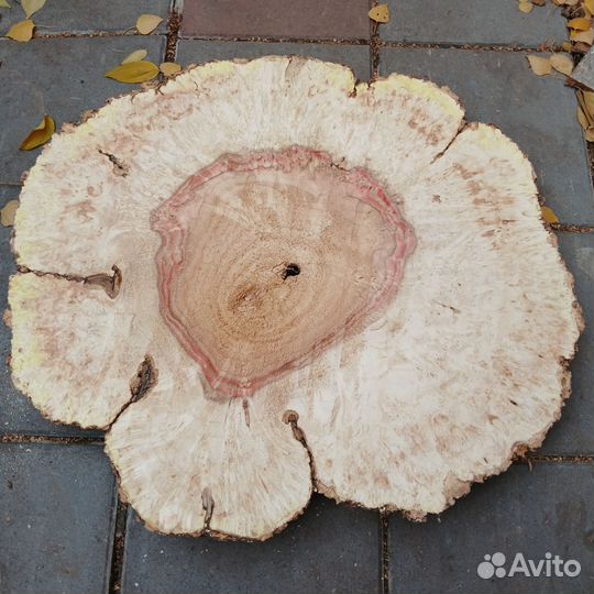 Слэб спил капового кровавого клена