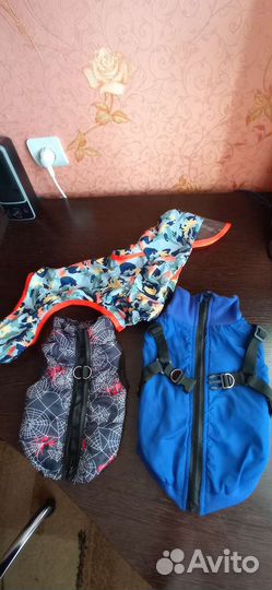 Одежда для собак