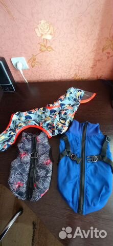 Одежда для собак