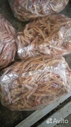 Лапки перепелов