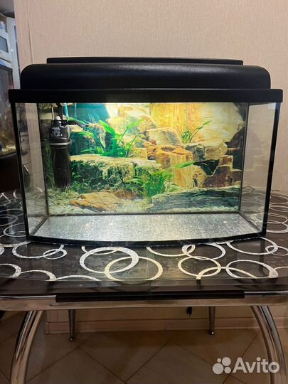 Аквариум