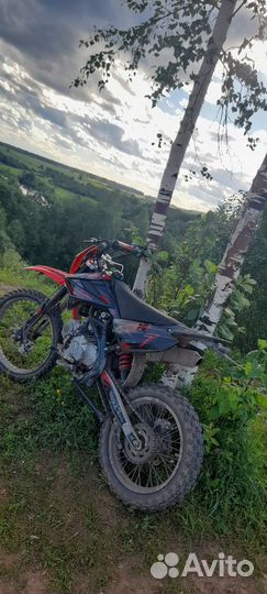 Питбайк Regulmoto seven medalist pro 19/16