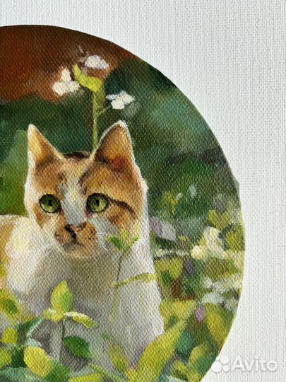 Котик. Холст на подрамнике. Картина маслом