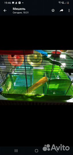 Клетка для грызунов очень большая