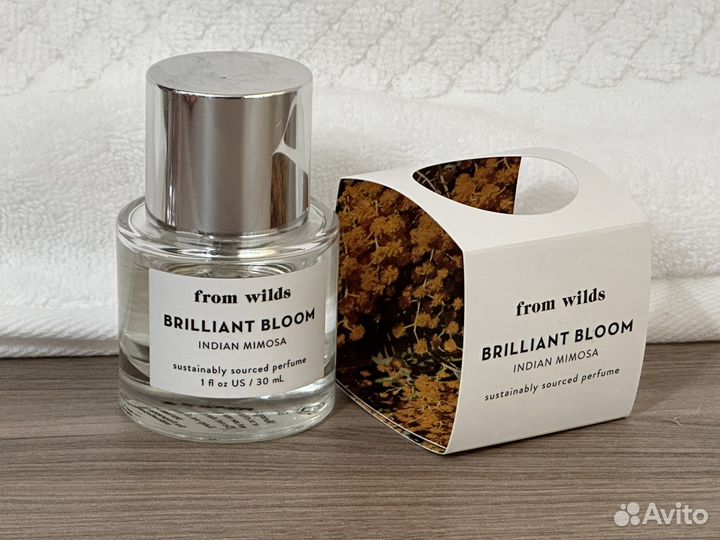 From wilds Brilliant Bloom