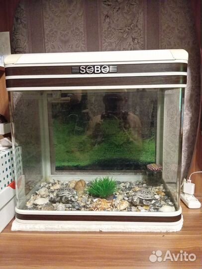 Аквариум