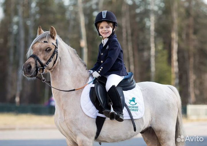 Полная экипировка для верховой езды