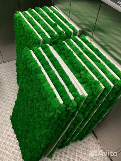 Стабилизированный мох, ягель, кочка, пласт, панно