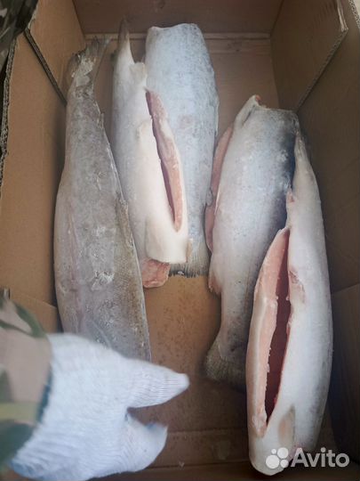 Форель потрошёная без головы