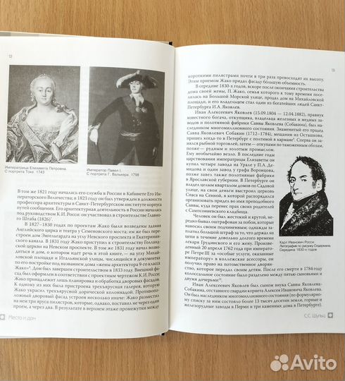 С.С. Шульц, В.А. Склярский. Бродячая собака