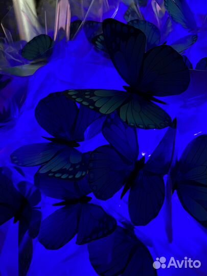 Букет из бабочек