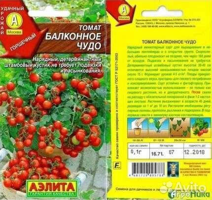 Томат Балконное чудо,Загадка,Пиноккио,Геркулес