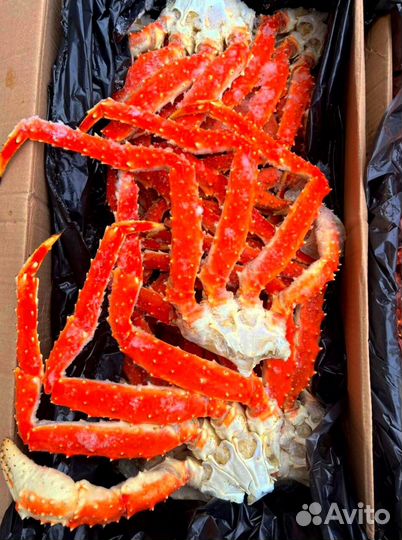 Оптом Краб Камчатский