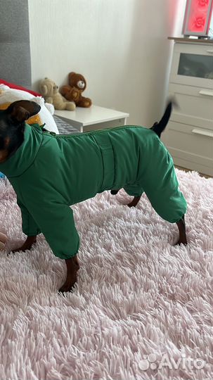Комбинезон для собак