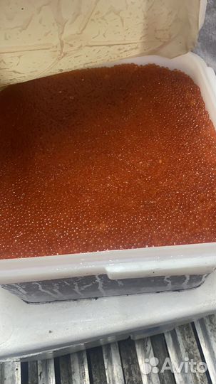 Икра красная оптом