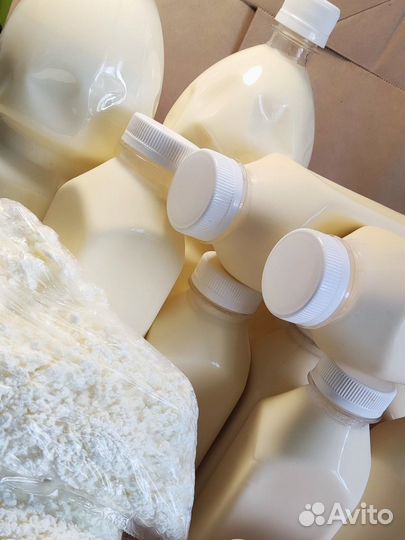 Сливочное масло, сыр,молоко,творог,сметана,косичка