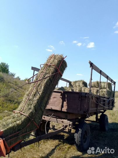 Сено луговое в тюках