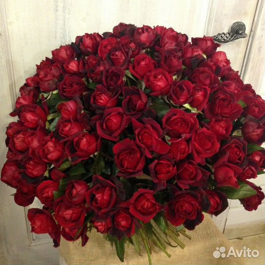 101 роза цветы букеты роза доставка 25 51 75