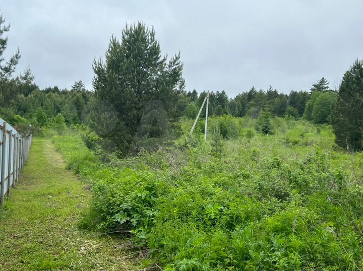 Участок 24,7 сот. (СНТ, ДНП)