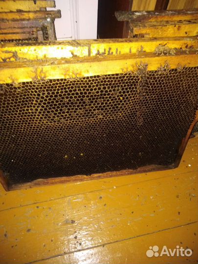 Рамки с вощиной